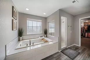 4992 Liverpool St, Denver, CO 80249 - Photo 21