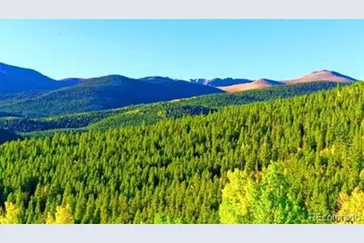 111 Swift Claim Road, Georgetown, CO 80444 - Photo 1