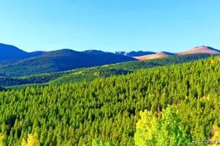 111 Swift Claim Rd, Georgetown, CO 80444 - Photo 1