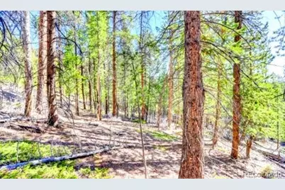 111 Swift Claim Road, Georgetown, CO 80444 - Photo 5