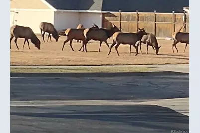 264 Shupe Circle, Loveland, CO 80537 - Photo 19