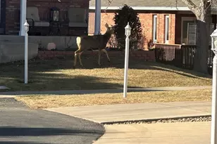 264 Shupe Cir, Loveland, CO 80537 - Photo 19