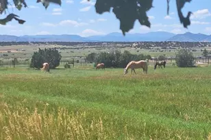 895 B St, Penrose, CO 81240 - Photo 7