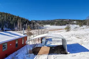 36 Valley Cir, Guffey, CO 80820 - Photo 21