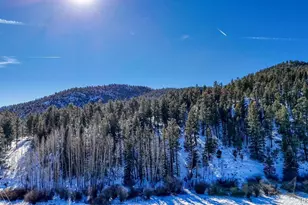 36 Valley Cir, Guffey, CO 80820 - Photo 23