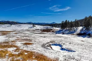 36 Valley Cir, Guffey, CO 80820 - Photo 27