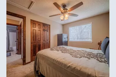 10071 Silver Maple Circle, Highlands Ranch, CO 80129 - Photo 37