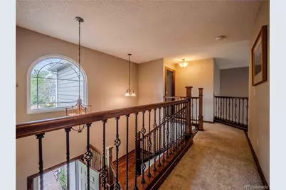 10071 Silver Maple Circle, Highlands Ranch, CO 80129 - Photo 43