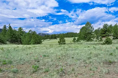 Tract 8 County Road 102, Guffey, CO 80820 - Photo 3