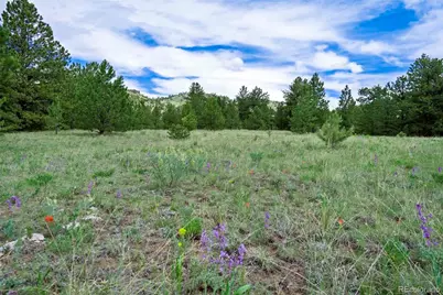Tract 8 County Road 102, Guffey, CO 80820 - Photo 9