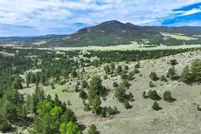 Tract 8 County Road 102, Guffey, CO 80820 - Photo 13