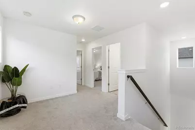 9185 Meccano Point, Colorado Springs, CO 80924 - Photo 19