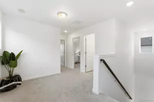 9185 Meccano Pt, Colorado Springs, CO 80924 - Photo 19