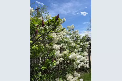 4528 W 27th Avenue, Denver, CO 80212 - Photo 43