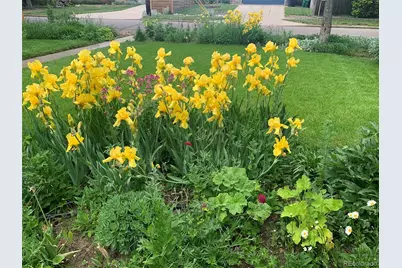 4528 W 27th Avenue, Denver, CO 80212 - Photo 41