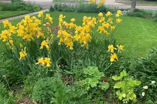 4528 W 27th Ave, Denver, CO 80212 - Photo 41