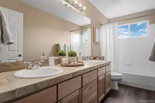 3718 Elk Run Dr, Castle Rock, CO 80109 - Photo 37