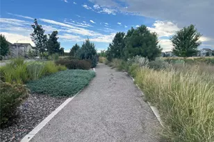 8102 Adams Fork Ave, Littleton, CO 80125 - Photo 45