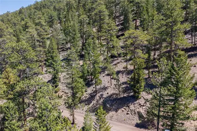 2278 Aspen Knoll Drive, Estes Park, CO 80517 - Photo 11