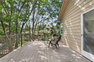 822 Hays Cir, Longmont, CO 80504 - Photo 33