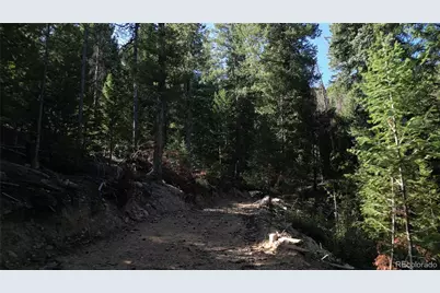 33864 Bergen View, Evergreen, CO 80439 - Photo 3