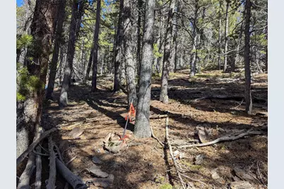 2796 Moir Drive, Fort Garland, CO 81133 - Photo 17