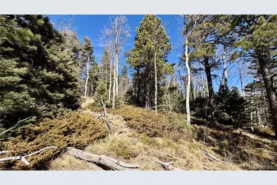 2796 Moir Drive, Fort Garland, CO 81133 - Photo 23