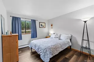 9849 Ryan Gulch Rd, Silverthorne, CO 80498 - Photo 21