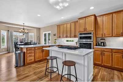 3646 Elk Run Drive, Castle Rock, CO 80109 - Photo 13