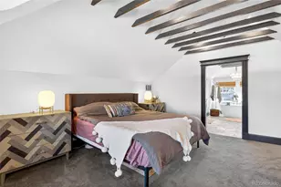 1409 Columbine St, Denver, CO 80206 - Photo 33