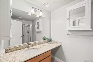 7859 E 28th Pl, Denver, CO 80238 - Photo 35