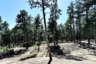 3135 Promise Pt, Colorado Springs, CO 80921 - Photo 27