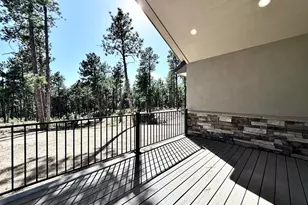 3135 Promise Pt, Colorado Springs, CO 80921 - Photo 15