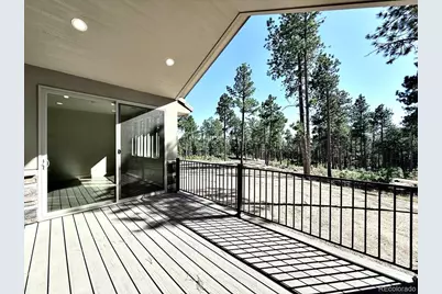 3135 Promise Point, Colorado Springs, CO 80921 - Photo 17