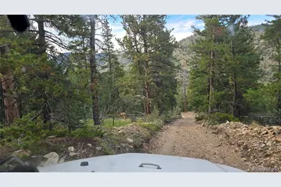 Olympic and Hecla Mines, Dumont, CO 80436 - Photo 5