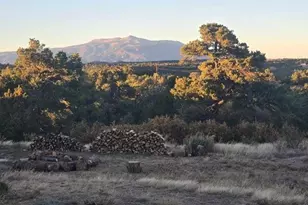 3681 Co Rd 510, Walsenburg, CO 81089 - Photo 35