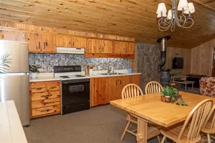 4100 Usfs Rd 515, Creede, CO 81130 - Photo 9