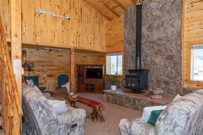 4100 Usfs Rd 515 #460, Creede, CO 81130 - Photo 13