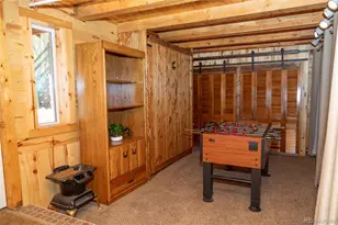 4100 Usfs Rd 515, Creede, CO 81130 - Photo 21