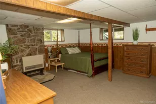4100 Usfs Rd 515, Creede, CO 81130 - Photo 19