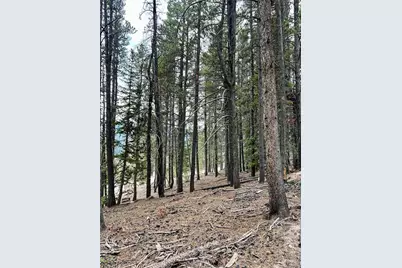 3075 Nugget Road, Fairplay, CO 80440 - Photo 13