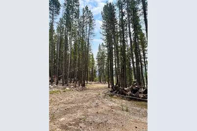 3075 Nugget Road, Fairplay, CO 80440 - Photo 9