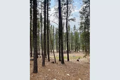 3075 Nugget Road, Fairplay, CO 80440 - Photo 11