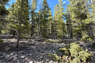5282 Roy, Leadville, CO 80461 - Photo 1