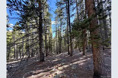 5282 Roy, Leadville, CO 80461 - Photo 5