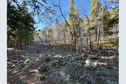 5282 Roy, Leadville, CO 80461 - Photo 3