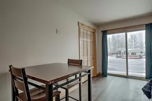 1133 Straight Creek Dr, Dillon, CO 80435 - Photo 5