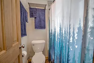 1133 Straight Creek Dr, Dillon, CO 80435 - Photo 15