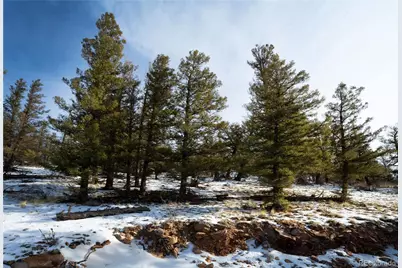 2120 Bonell Drive, Fairplay, CO 80440 - Photo 5