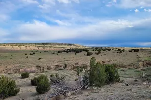 Lot 21 Ghost River Ranch Filing, Walsenburg, CO 81089 - Photo 1